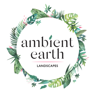 Ambient Earth Landscapes